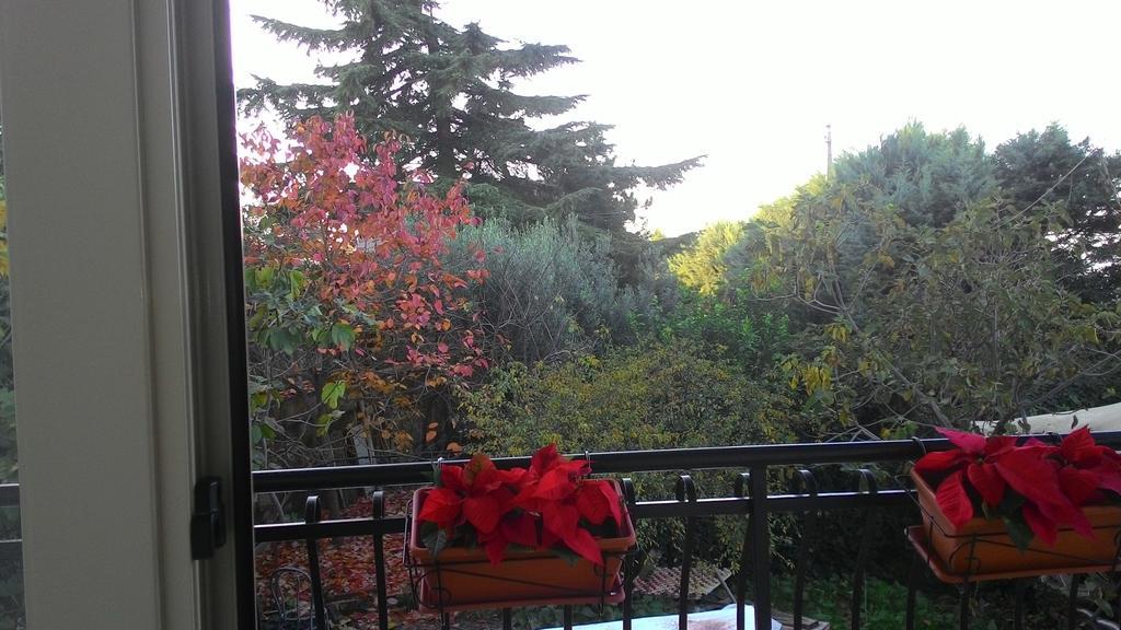 B&B Il Rifugio Кальтаниссетта Экстерьер фото